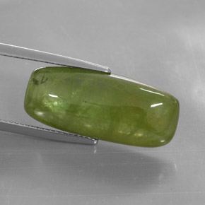 16.14캐럿 천연 그린 스펜(티타나이트), 투명한, 23.6×10.1 mm, 투명/반투명