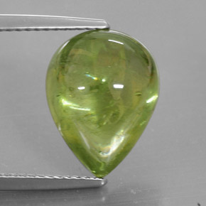 7.93캐럿 천연 그린 스펜(티타나이트), 투명한, 13.7×10.5 mm, 투명/반투명