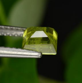 0.99캐럿 천연 골든 그린 스펜(티타나이트), 스퀘어, 5.4×5.4 mm, VS-SI
