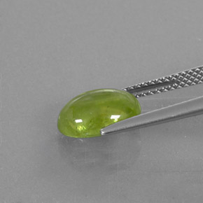 2.93캐럿 천연 노란빛 그린 스펜(티타나이트), 투명한, 10.1×7.4 mm, 투명/반투명