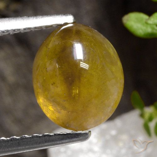 2.68ct 자연스러운 금 스피네, 타원형, 투명한