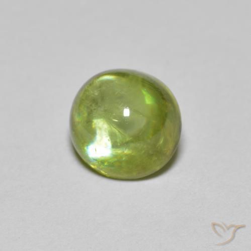 1.46캐럿 천연 Medium Light Green 스피네, 타원형, 투명한