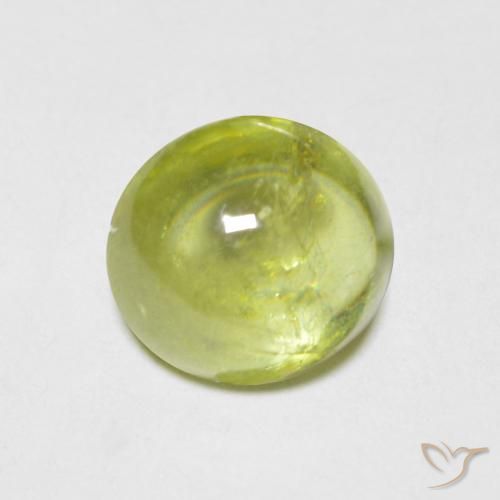 1.58ct 자연스러운 올리브 그린 스피네, 타원형, 투명한