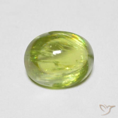 1.27ct 자연스러운 미디엄 그린 스피네, 타원형, 투명한
