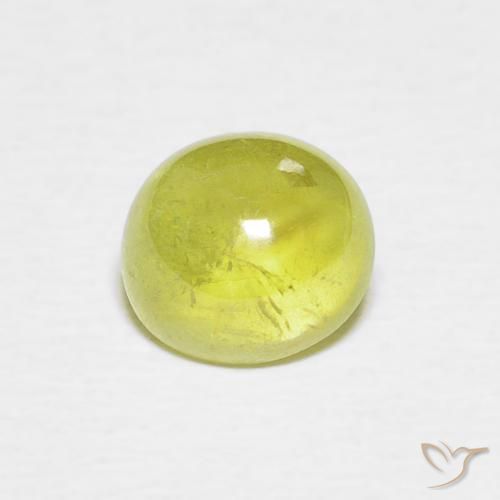 1.53ct 자연스러운 황록색 스피네, 타원형, 투명한