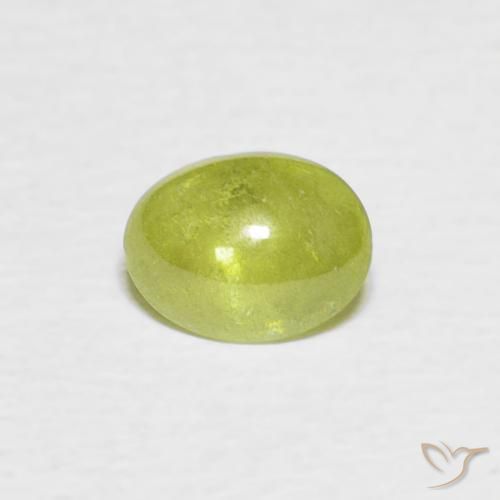 0.83ct 자연스러운 미디엄 그린 스피네, 타원형, 투명한