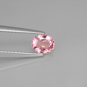0.63캐럿 천연 로즈 핑크 스피넬, 타원형 컷, 5.6×4.7 mm, VS