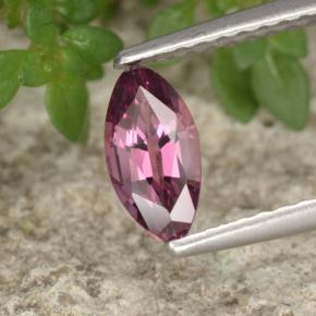 0.62캐럿 천연 핑크빛 바이올렛 스피넬, 마퀴즈, 7.4×3.8 mm, VVS-VS