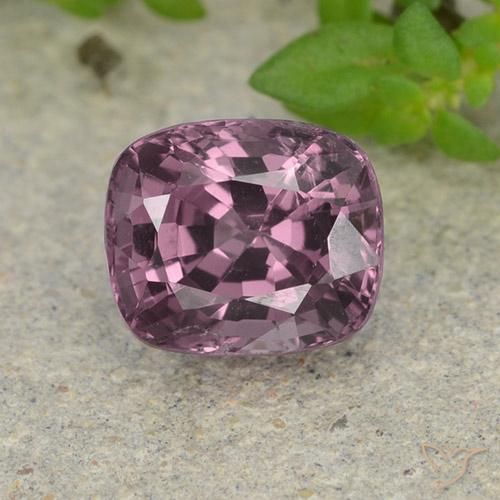 1.52ct 자연스러운 다크 상그리아 스피넬, 방석, VVS-VS