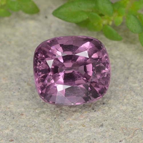 1.50ct 자연스러운 미디엄 퍼플 스피넬, 방석, VVS-VS