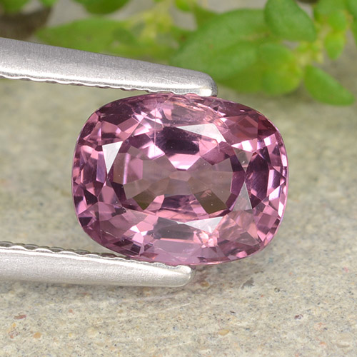 1.29캐럿 천연 미디엄 퍼플 스피넬, 쿠션 컷, 7.3×5.7 mm, VVS-VS