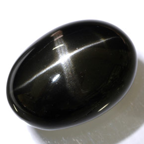 48.47캐럿 천연 검정색 스타 디옵사이드, 타원형 컷, 25.3×18.3 mm, 불투명체