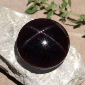 26.52캐럿 천연 블랙 레드 스타 가넷, 라운드 컷, 15.06 mm, 불투명체