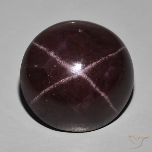 63.29ct 자연스러운 다크 레드 스타가넷, 타원형, 불투명체