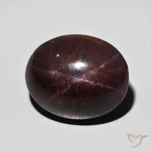 12.82ct 자연스러운 다크 레드 스타가넷, 타원형, 불투명체