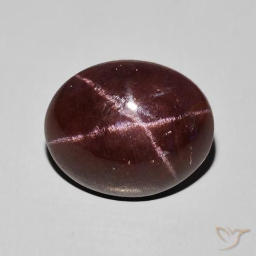 12.41ct 자연스러운 마호가니 레드 스타가넷, 타원형, 불투명체