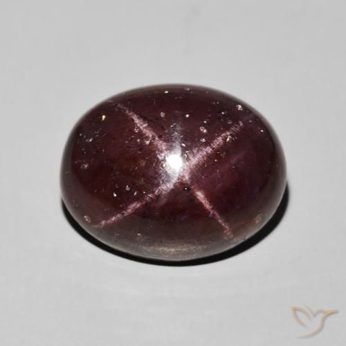 14.88ct 자연스러운 다크 레드 스타가넷, 타원형, 불투명체