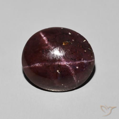 11.81ct 자연스러운 마호가니 레드 스타가넷, 타원형, 불투명체