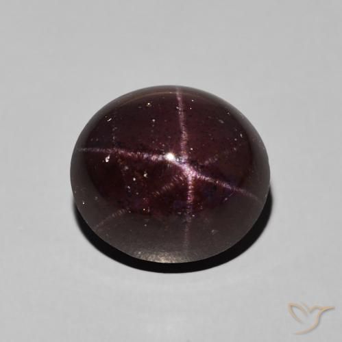 9.92ct 자연스러운 다크 레드 스타가넷, 타원형, 불투명체