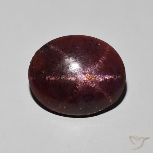 12.20ct 자연스러운 마호가니 레드 스타가넷, 타원형, 불투명체