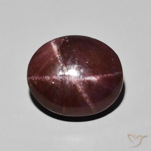 13.83ct 자연스러운 마호가니 레드 스타가넷, 타원형, 불투명체