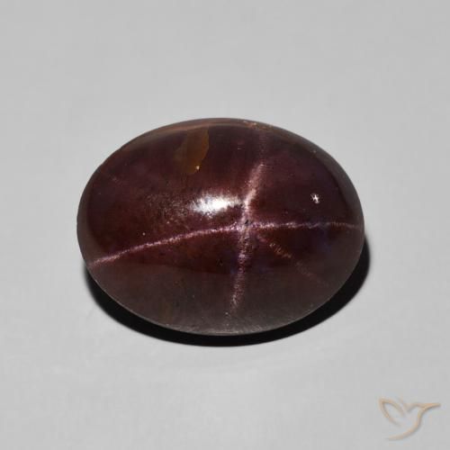 15.94ct 자연스러운 마호가니 레드 스타가넷, 타원형, 불투명체