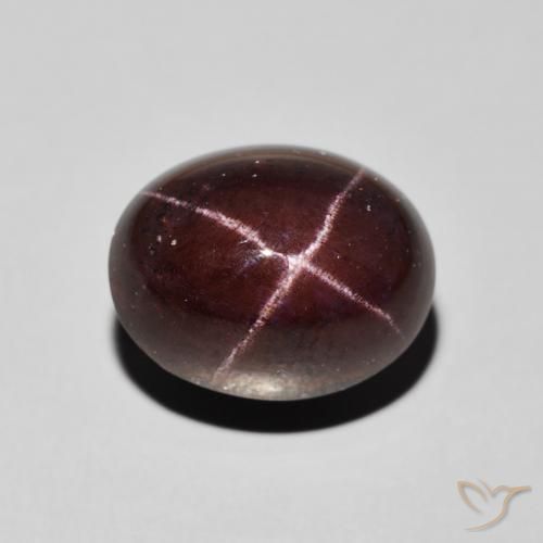 13.49ct 자연스러운 다크 레드 스타가넷, 타원형, 불투명체