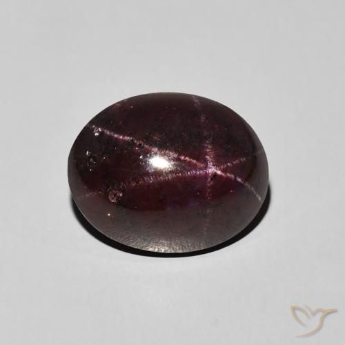 9.87ct 자연스러운 마호가니 레드 스타가넷, 타원형, 불투명체