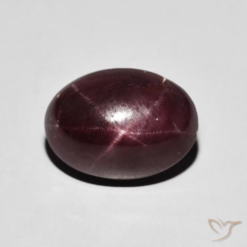 8.11ct 자연스러운 마호가니 레드 스타가넷, 타원형, 불투명체