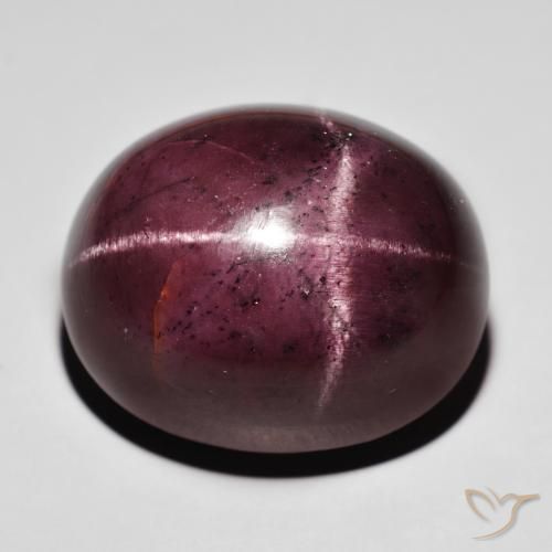 88.20ct 자연스러운 다크 레드 스타가넷, 타원형, 불투명체