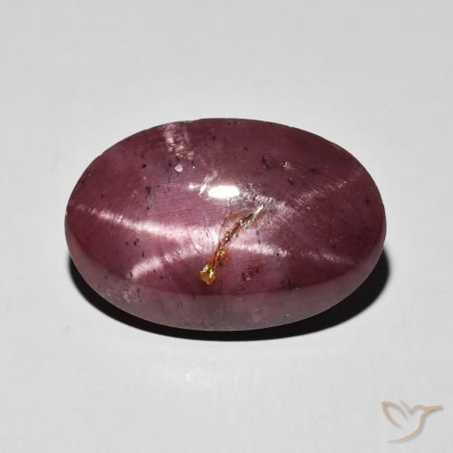 10.84ct 자연스러운 다크 레드 스타가넷, 타원형, 불투명체