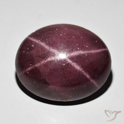 64.50ct 자연스러운 마호가니 레드 스타가넷, 타원형, 불투명체