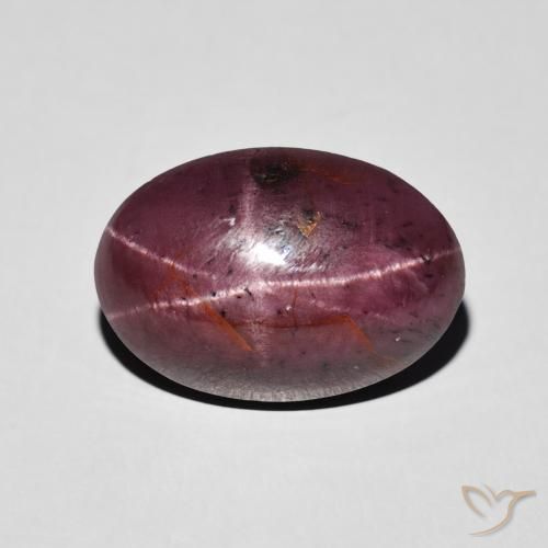 8.72ct 자연스러운 Medium Dark-Red 스타가넷, 타원형, 불투명체