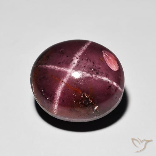 15.64ct 자연스러운 마호가니 레드 스타가넷, 타원형, 불투명체