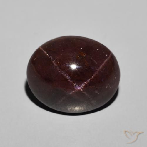 13.31ct 자연스러운 마호가니 레드 스타가넷, 타원형, 불투명체