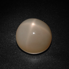22.41캐럿 천연 오렌지 크림 스타 문스톤, 투명한, 16.50 mm, 투명/반투명