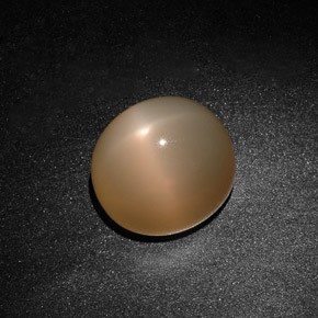 15.59캐럿 천연 오렌지 크림 스타 문스톤, 투명한, 14.5×13 mm, 투명/반투명