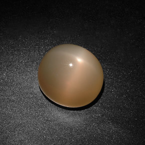 15.59캐럿 천연 오렌지 크림 스타 문스톤, 투명한, 14.5×13 mm, 투명/반투명