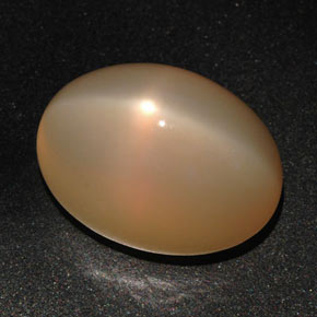 22.59캐럿 천연 피치 오렌지 스타 문스톤, 타원형 컷, 18.8×13.6 mm, 투명한