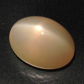 22.59캐럿 천연 피치 오렌지 스타 문스톤, 타원형 컷, 18.8×13.6 mm, 투명한