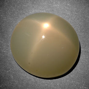 11.42캐럿 천연 크림 스타 문스톤, 타원형 컷, 13.8×12.6 mm, 투명한