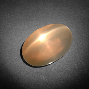 7.71캐럿 천연 오렌지 크림 스타 문스톤, 투명한, 14.1×9.4 mm, 투명/반투명