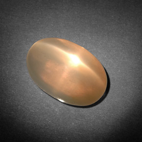 7.71캐럿 천연 오렌지 크림 스타 문스톤, 투명한, 14.1×9.4 mm, 투명/반투명