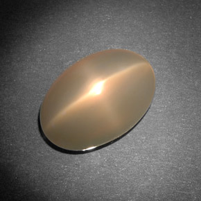 8.29캐럿 천연 크림 스타 문스톤, 투명한, 14.6×9.8 mm, 투명/반투명