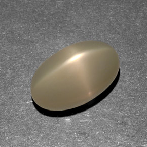 9.13캐럿 천연 오렌지 크림 스타 문스톤, 투명한, 14.9×8.9 mm, 투명/반투명