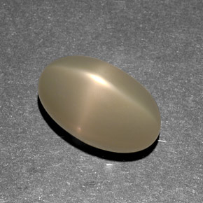 9.13캐럿 천연 오렌지 크림 스타 문스톤, 투명한, 14.9×8.9 mm, 투명/반투명