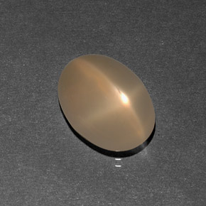 7.09캐럿 천연 오렌지 크림 스타 문스톤, 투명한, 15.1×11.1 mm, 투명/반투명