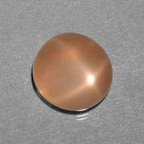 9.31캐럿 천연 피치 오렌지 스타 문스톤, 투명한, 13.5×12.8 mm, 투명/반투명