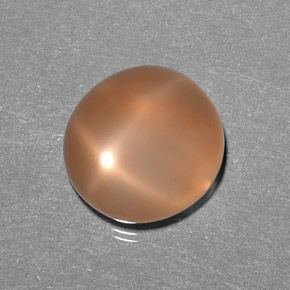 9.31캐럿 천연 피치 오렌지 스타 문스톤, 투명한, 13.5×12.8 mm, 투명/반투명