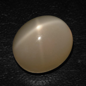 16.54캐럿 천연 크림 스타 문스톤, 투명한, 15.4×13.5 mm, 투명/반투명